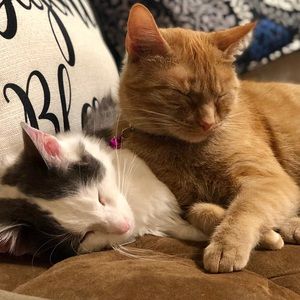 Meet your Posher, Lana